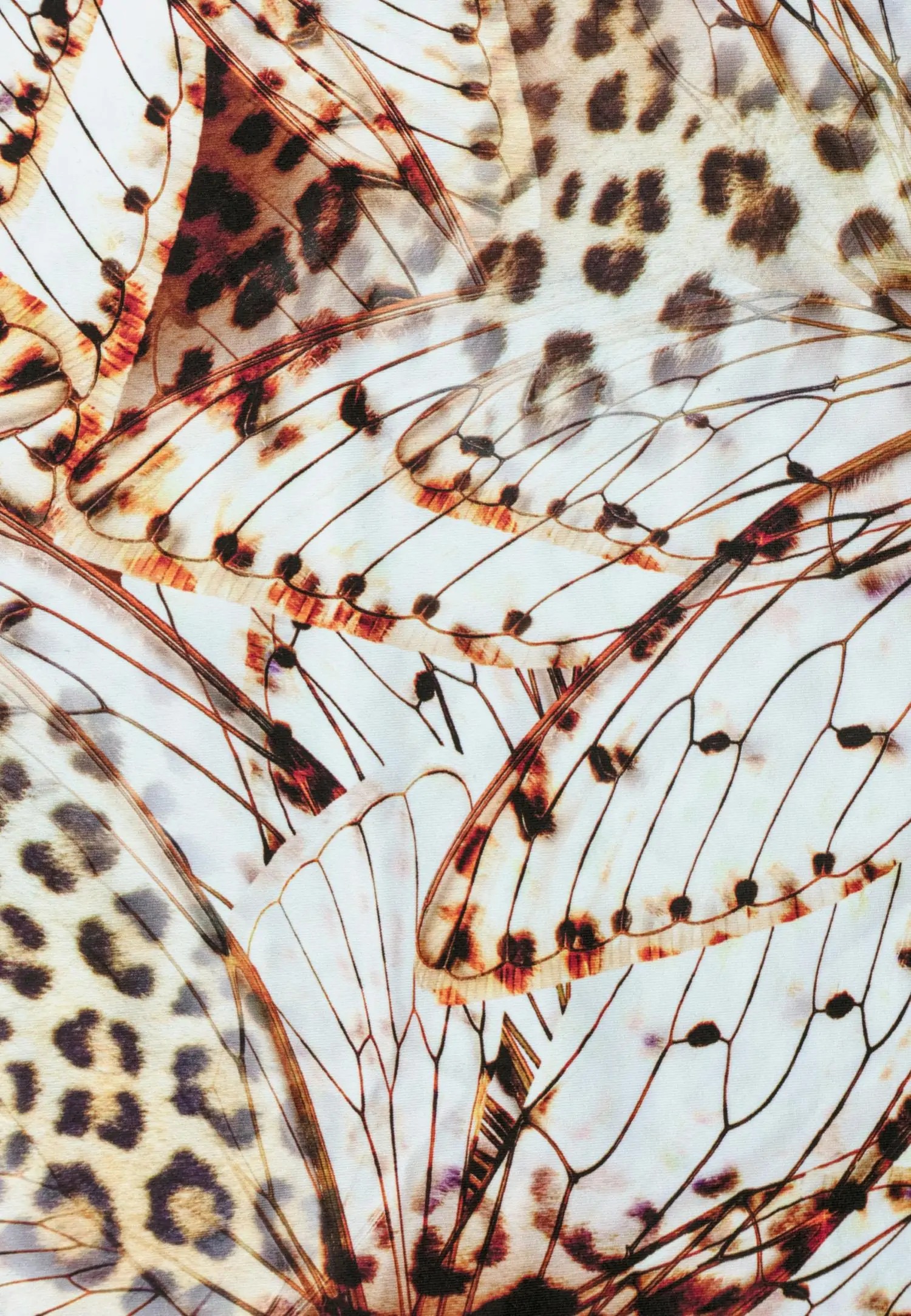 Bikiinipüksid STAY WILD