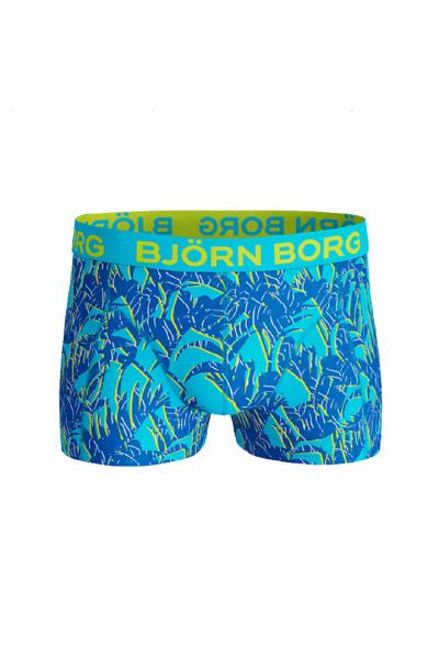 Bokserid TROPICAL