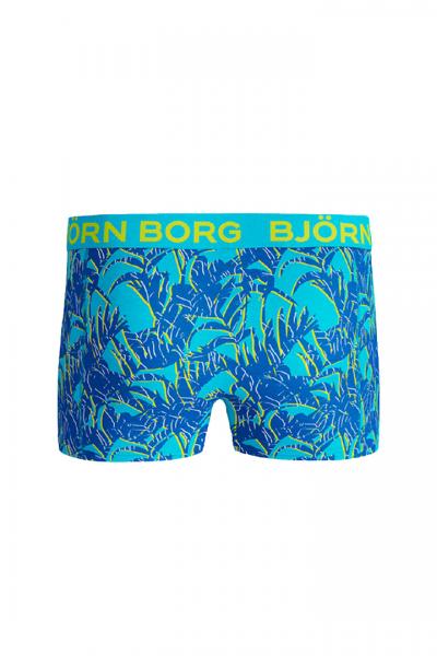 Bokserid TROPICAL